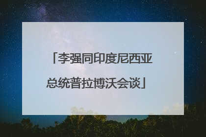 李强同印度尼西亚总统普拉博沃会谈